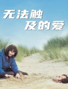 无法触及的爱封面图