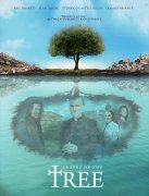 神树之叶封面图