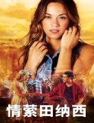 情萦田纳西封面图