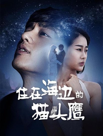 住在海边的猫头鹰封面图