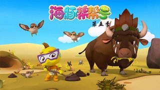 海豚帮帮号第五季