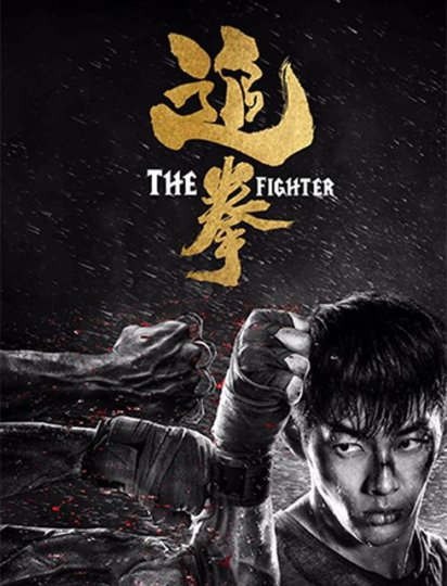 追拳