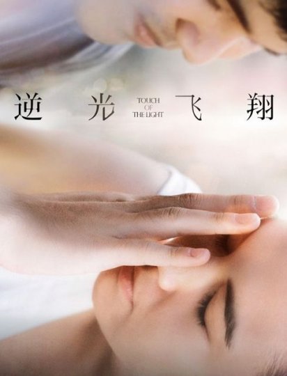 逆光飞翔